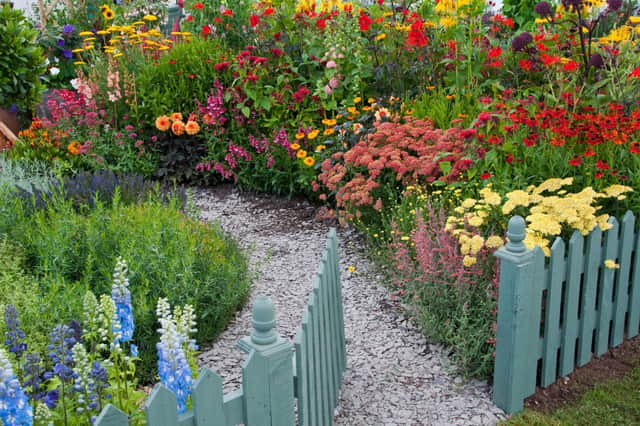 Mixed borders in a cottage garden.