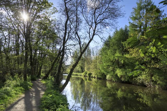 The River Lagan in spring at Minnowburn, County Down. By John Miller