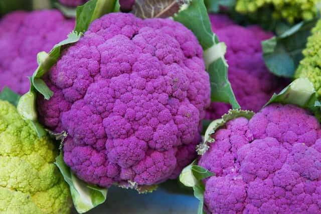Purple cauliflowers.