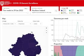 Dashboard maps incidence of Delta and Omicron variants as cases emerge across the province. The analytic programme was launched this week by experts at Queen's University Belfast and the Public Health Agency