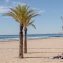 Spain Covid travel rules: What are the latest travel rules for Spain from Northern Ireland?