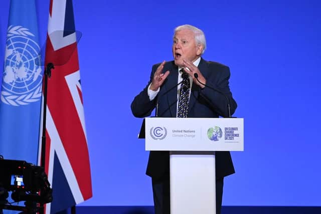 Sir David Attenborough address the COP26 conference in Glasgow on November 1, 2021