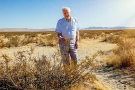 Sir David Attenborough standing within a Creosote Bush, in the Mojave Desert, California.PA Photo/Paul Williams.