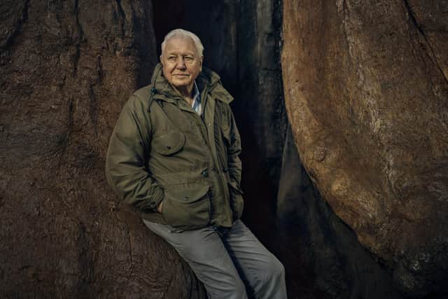 Sir David Attenborough notes that he has observed a 'world-wide revolution in attitudes toward the natural world in his lifestime'. PA Photo/BBC/Sam Barker