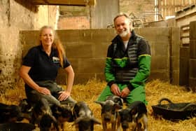Marcus Wareing meets rare breed pig owner Lisa to learn about the Magalitza pig