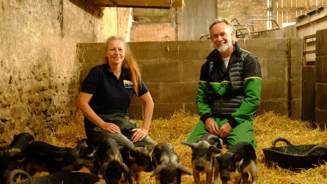 Marcus Wareing meets rare breed pig owner Lisa to learn about the Magalitza pig