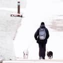 Man walks his dog in a snowy Orangefield Park in East Belfast.