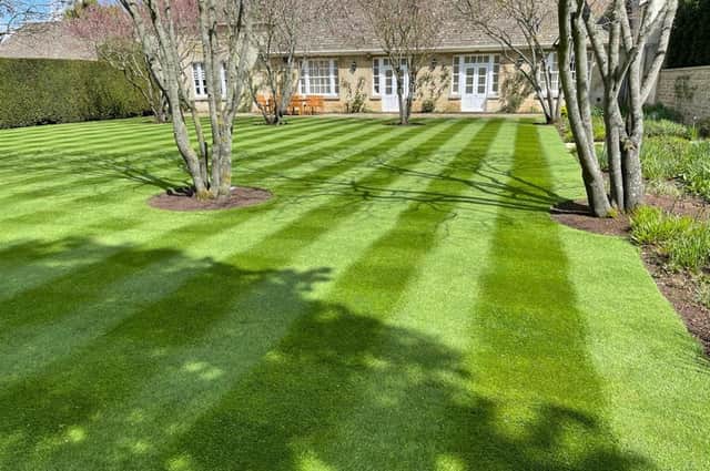 Get a gorgeous striped lawn by following these steps