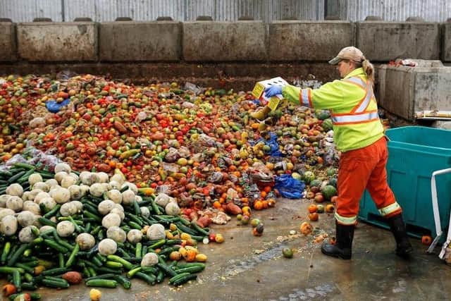 Food waste has become an alarming problem