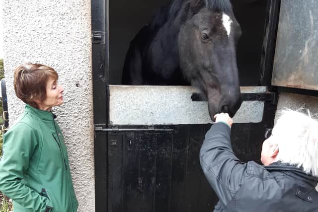 June Burgess, owner of Horses for People, talks with an armed forces veteran about the benefits of equine therapy for mental health during the launch of the 'You Matter' veterans support programme in Comber, Co Down on 15 March 2022.