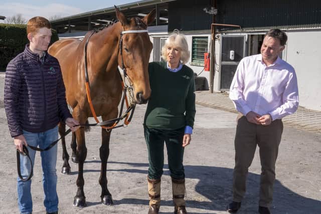 The Duchess of Cornwall meets Henry de Bromhead (right) and horse Honeysuckle at Henry de Bromhead Stables in Knockeen during her visit with the Prince of Wales to Waterford in the southeast of the Republic of Ireland. Picture date: Thursday March 24, 2022. PA Photo.