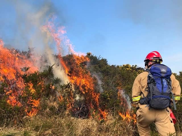 Firefighters tackle wildfire ikn the Mourne Mountains