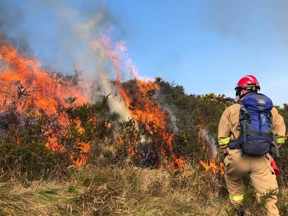 A firefighter tackles a gorse fire in the Mournes