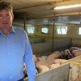 Kilkeel pig farmer Trevor Sheilds says surging feed and energy costs must be passed on up the supply chain or many farmers will go under.
