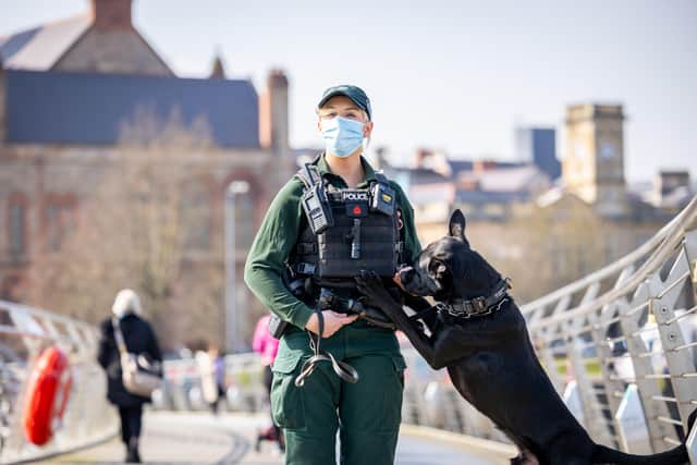 Police Dog with PSNI dog handler Joss