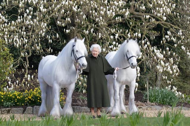 This new portrait of Queen Elizabeth II has been released by The Royal Windsor Horse Show to mark the occasion of her 96th birthday. Queen Elizabeth II holds her Fell ponies, Bybeck Nightingale (right) and Bybeck Katie.  Picture: henrydallalphotography.com/PA Wire