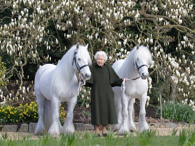 This new portrait of Queen Elizabeth II has been released by The Royal Windsor Horse Show to mark the occasion of her 96th birthday. Queen Elizabeth II holds her Fell ponies, Bybeck Nightingale (right) and Bybeck Katie.  Picture: henrydallalphotography.com/PA Wire