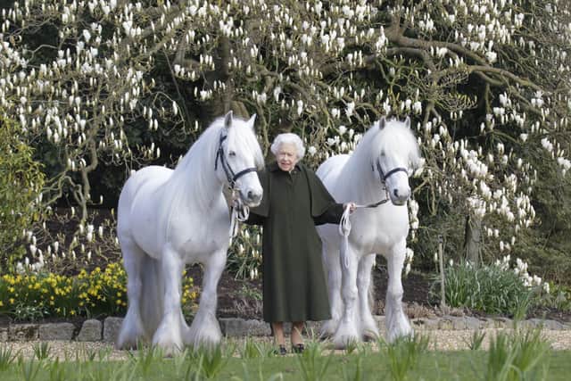 This new portrait of Queen Elizabeth II has been released by The Royal Windsor Horse Show to mark the occasion of her 96th birthday. Queen Elizabeth II holds her Fell ponies, Bybeck Nightingale (right) and Bybeck Katie.