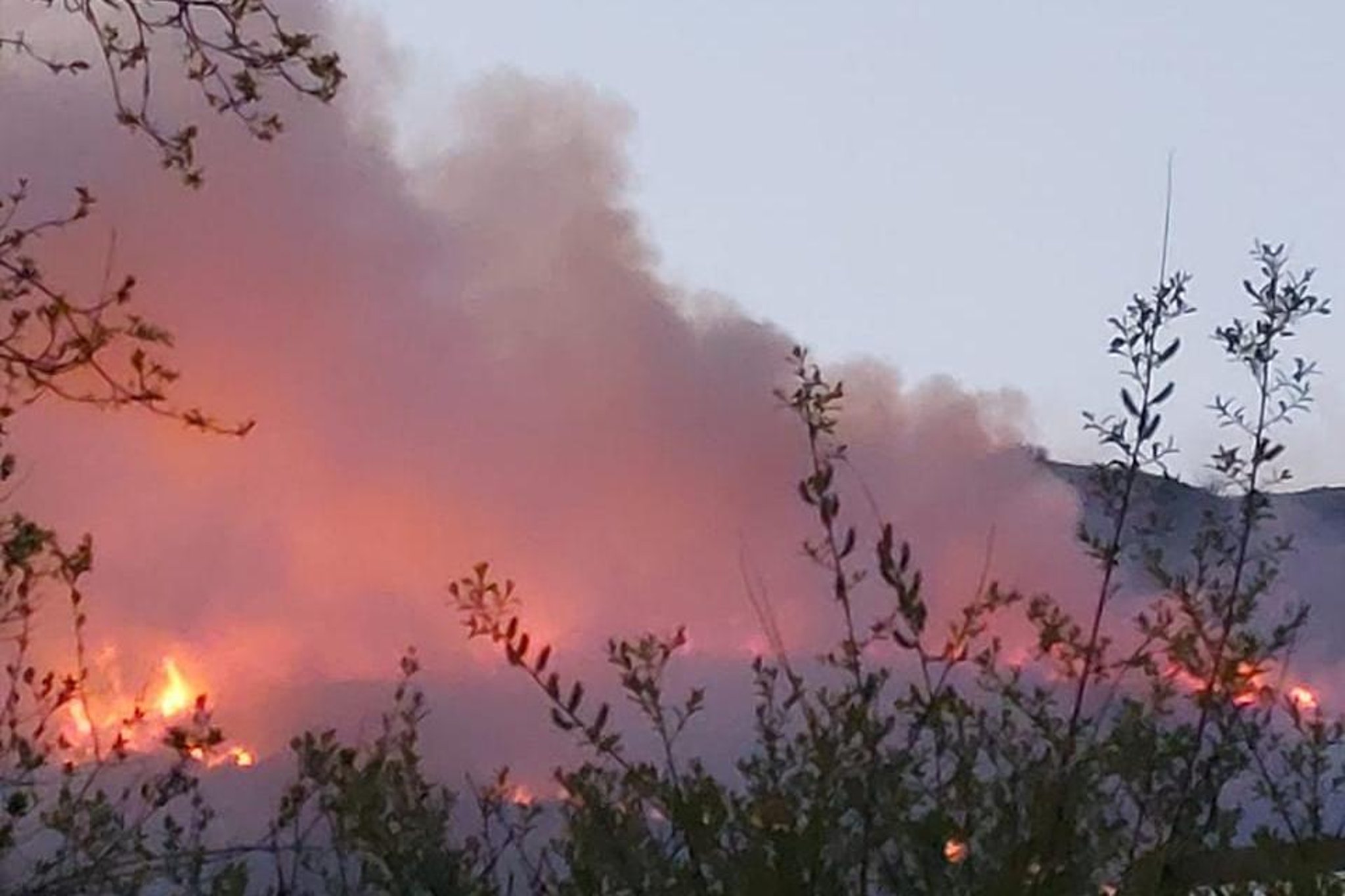 Gorse fire being tackled by firefighters on Cave Hill in north Belfast