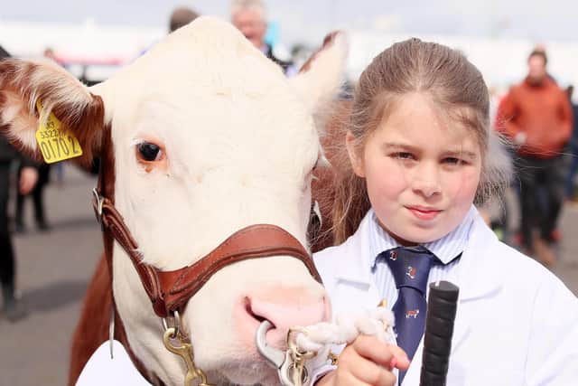 Ten-year-old Hollie from Carneyhill Herefords proud shows off her animal.

Picture by Jonathan Porter/PressEye