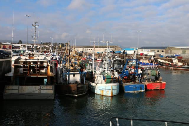 Kilkeel, the biggest seafood port, is a destination in one of the 14 trails