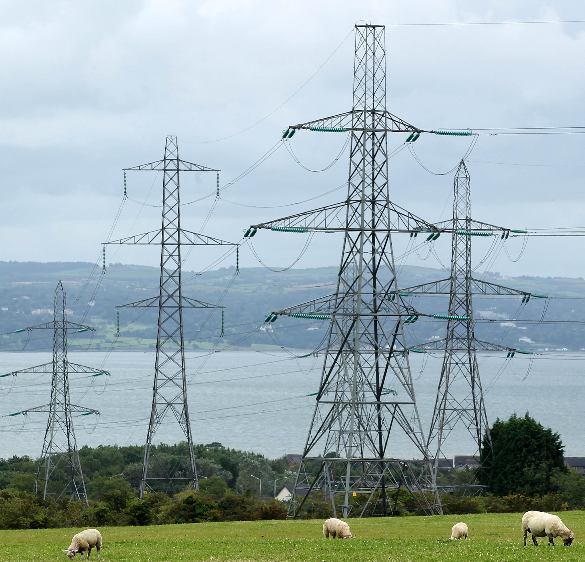 Families pushed 'over the brink' by electricity price hike