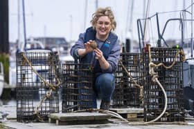 Heidi McIlvenny, Marine Conservation Manager at Ulster Wildlife, inspecting one of the 24 native oyster nurseries installed by the wildlife charity at Bangor Marina