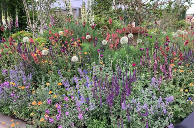 BBC Studios Our Green Planet & RHS Bee Garden at Chelsea Flower Show.
