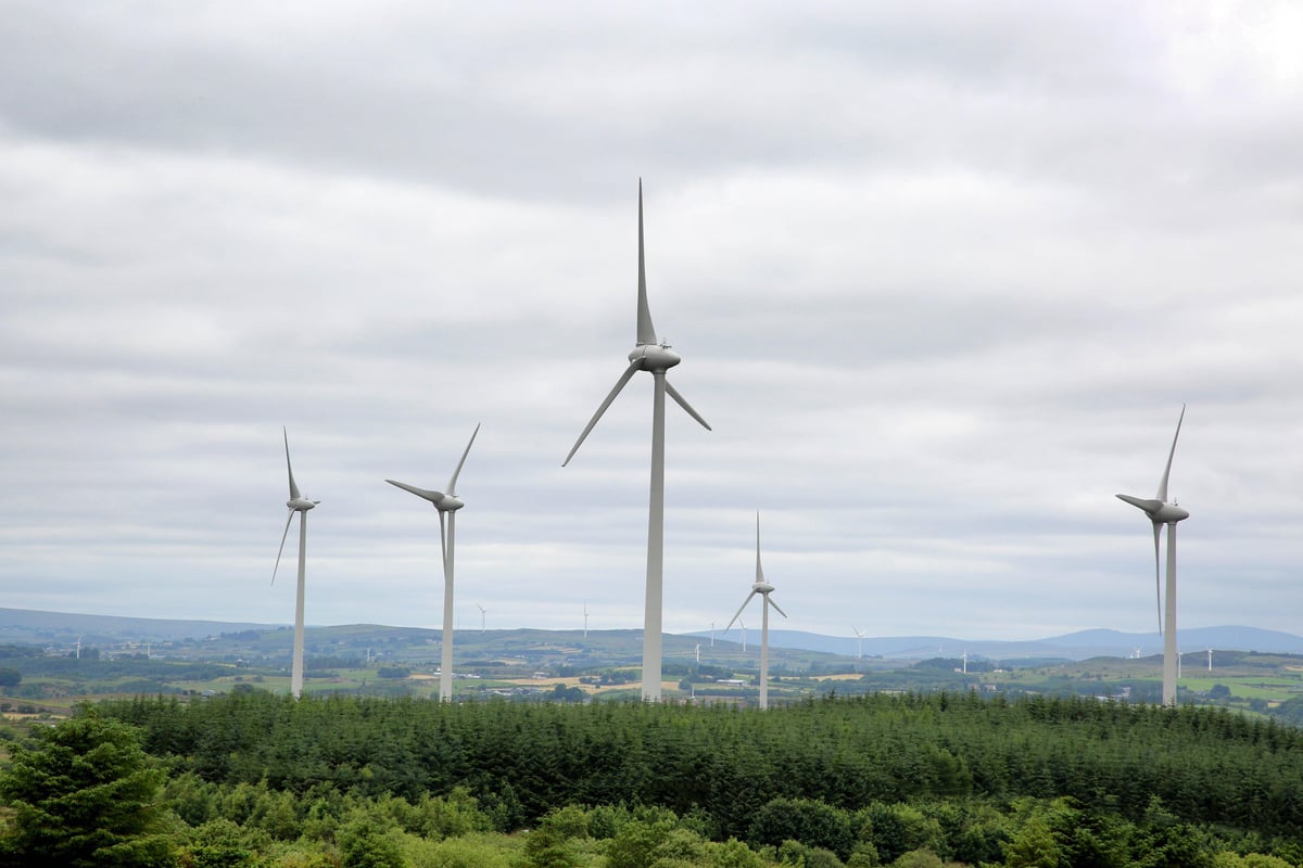 Cut green energy levies to tackle soaring energy bills, suggests Sammy Wilson