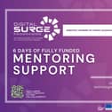 Avail of six days of mentoring support from advanced technology experts