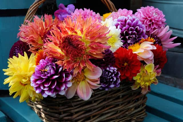 A basket of cut flowers.