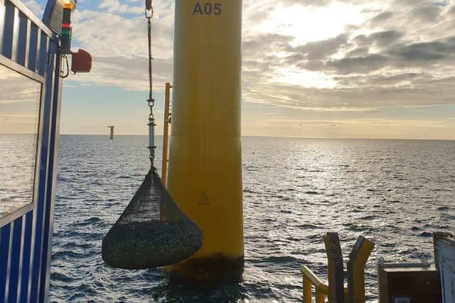 Deployment of a patent protected 4T Filter Unit Rockbag on Saint Nazaire Offshore Wind Farm