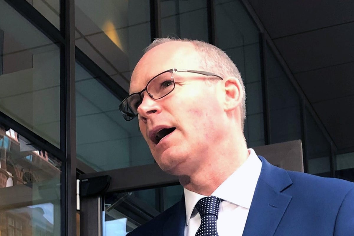 Irish Foreign Minister Simon Coveney 'partly at fault for chill with unionists'