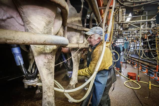 The Irish dairy industry would be particularly damaged in any UK-EU trade war, said Dr Esmond Birnie