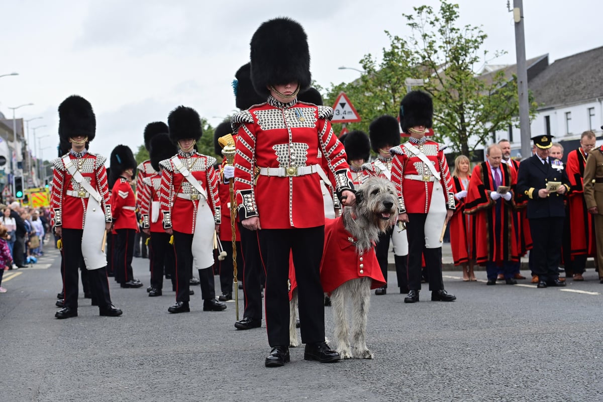 Northern Ireland Armed Forces Day 2022 picture special: Red Arrows flypast, Irish Guards and Royal Irish Regiment bands