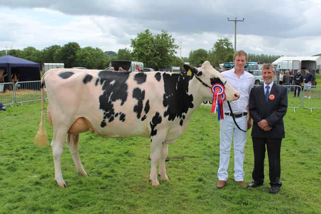 The Champion of Ballymena Show 2022 - Damm Fitz Beth with breeders David Simpson and judge Brian Weatherup, from Fife in Scotland