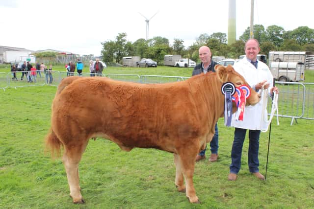 Deerpark Saffron - the Beef Interbreed champion at Ballymena Show 2022 with breeder Connor Mulholland and judge Pat McClean