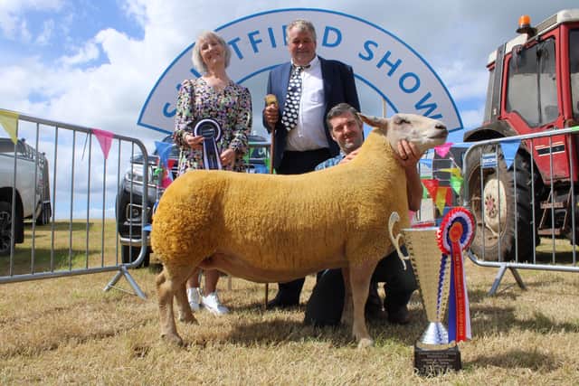 Trevor Bell with his Interbreed Champion Charollais ewe. Included is judge Rex Vincent and representative from sponsor Danske Bank.