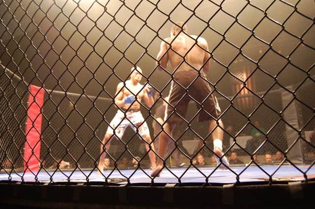 A generic image of an MMA fight, titled 'Arnold Amateur Mixed Martial Arts Competition' by Fight Launch (licensed under Creative Commons 2.0)