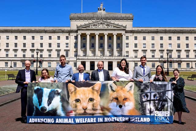 USPCA Chief Executive, Brendan Mullan, MLAs Deborah Erskine, Phillip Brett, David Honeyford, John Blair, Claire Sugden, Patrick Brown, Sorcha Eastwood and Kellie Armstrong outside Stormont in Belfast to mark the official reconstitution meeting of the All Party Group (APG) on Animal Welfare