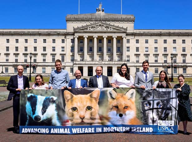 USPCA Chief Executive, Brendan Mullan, MLAs Deborah Erskine, Phillip Brett, David Honeyford, John Blair, Claire Sugden, Patrick Brown, Sorcha Eastwood and Kellie Armstrong outside Stormont in Belfast to mark the official reconstitution meeting of the All Party Group (APG) on Animal Welfare