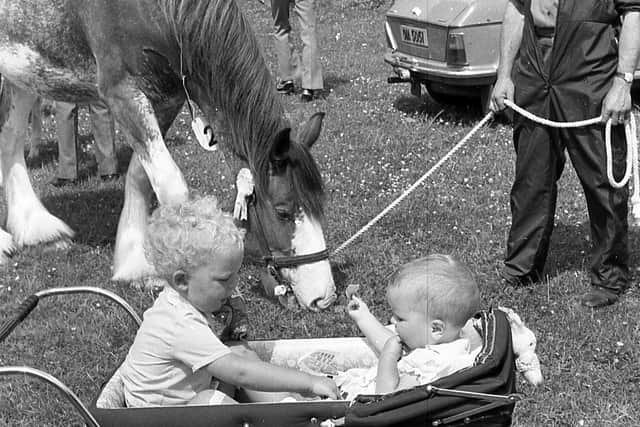 Alan Milliken of Ballymena and his sister Wendy share a bag of crisps at the Ballymena Show in June 1982. Also pictured is the prize winning Clydesdale, the gelding was owner by Mr Armour Kennedy of Cullybackey, Co Antrim. Picture: Farming Life/News Letter archives