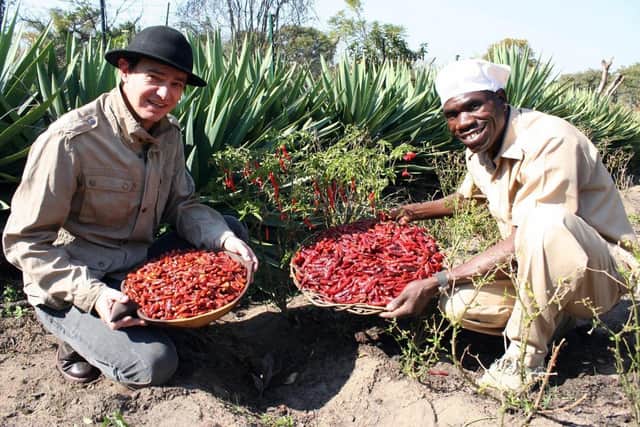 Farmer/entrepreneur Robert Fletcher of Dr Trouble Sauces is seen picking chillies with Mike Mboko