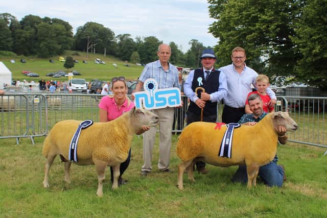 The winner (right) and runner-up in the Danske/Bank Northern Ireland Shows’ Association Championship. Holding the ewes are Amy Presho and Trevor Bell. Adding theircongratulations are Graham Furey, president Northern Ireland Shows Association; John Barclay, who judged the class plus Danske Bank’s Mark Forsythe and his son Jack