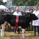 The Inter Breed Young Bull Champion at Castlewellan Show 2022 with winning connections Jim and James Sloan, from Kilkeel