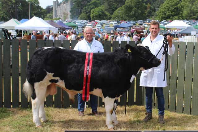 The Inter Breed Young Bull Champion at Castlewellan Show 2022 with winning connections Jim and James Sloan, from Kilkeel