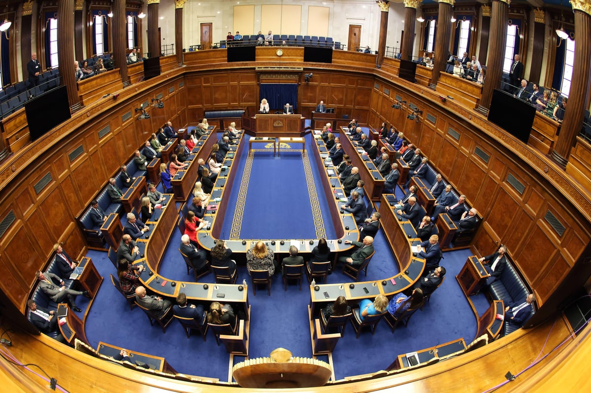 DUP whip accuses SDLP of 'trying to make themselves relevant' with Stormont recall 'stunt'