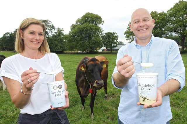 Pictured here are Nichola Lockhart, CEO of Ards Business Hub with Clandeboye Estate Yoghurt general manager Bryan Boggs and Cookie the cow