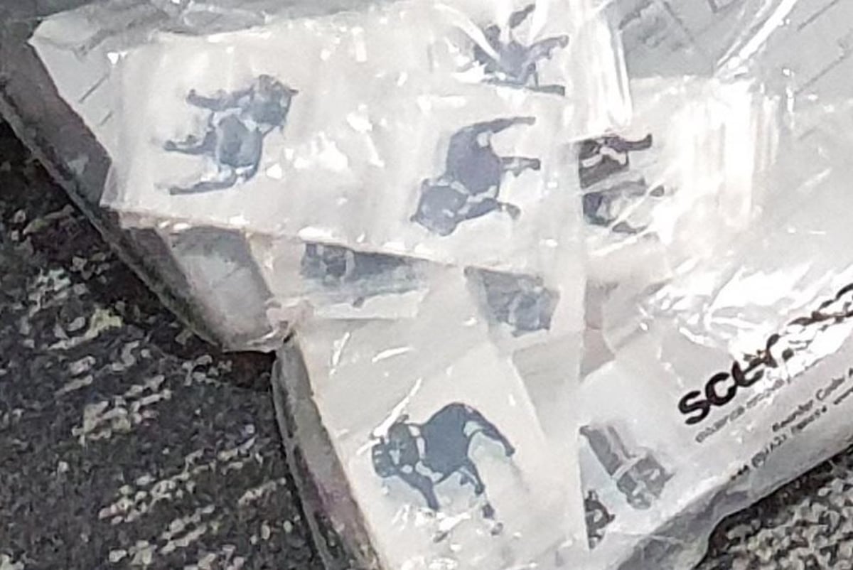 Drugs worth £275,000 plus bulldog-branded deal baggies uncovered in raids on vehicles and properties in Belfast and Lurgan