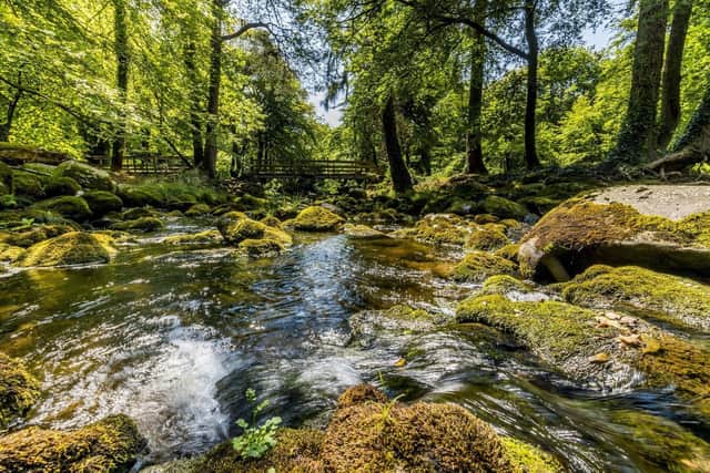 The Woodland Trust has created three walking trails at Mourne Park